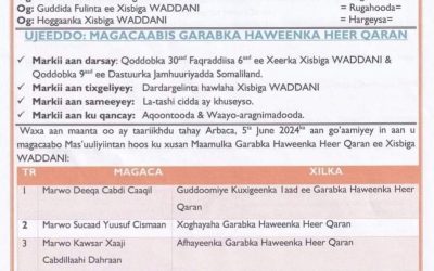 Hamabalyo dhamaan Haweenka dalkeena ee Xisbiga Waddani