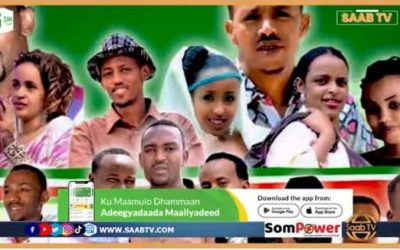 Saamaynta ay yeesheen heeso Muuse Biixi loo qaaday daawo warbixintani