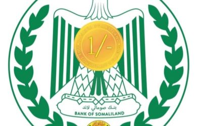 Somaliland Pushes Back Against Foreign Stance, Reaffirms Sovereignty