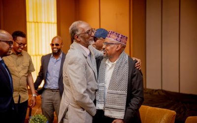Suldaan Wabar oo lagu soo dhaweeyay madaxtooyada Somaliland
