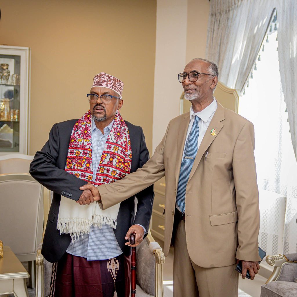 Madaxweyne ku-xigeenka JSL Oo Qaabilay Suldaan Wabar