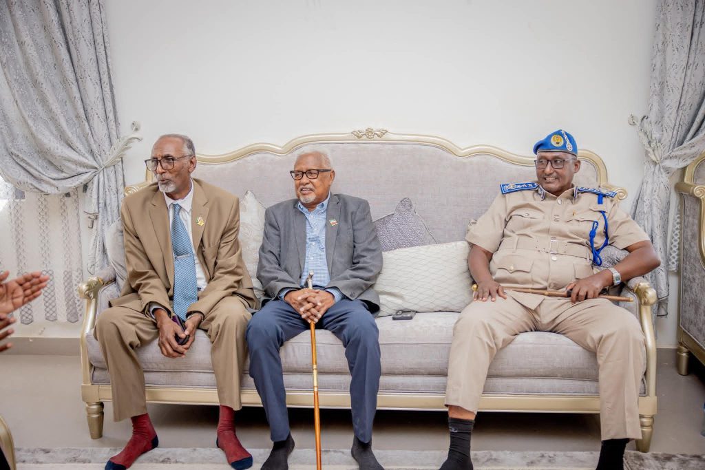 Madaxweyne ku-xigeenka JSL Oo Qaabilay Suldaan Wabar