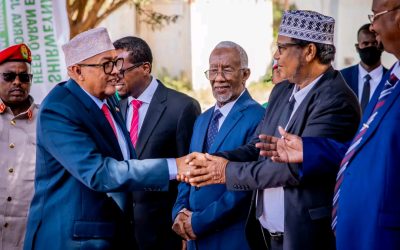Madaxweyne Cabdiraxmaan Maxamed Cabdillaahi Cirro oo rasmi ah u furay ahir weynaha