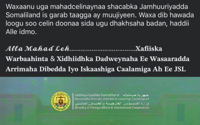 Shabakada wasaarada arimaha dibada Somaliland waxa ay gacanta ugu jirtaa wasaarada