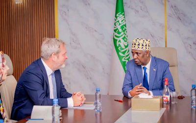Madaxweyne ku-xigeenka Somaliland oo kulan la yeeshay safiirka dawladda Denmark