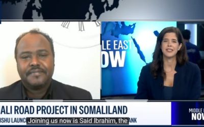 Somali power play or genuine development effort for Somaliland?