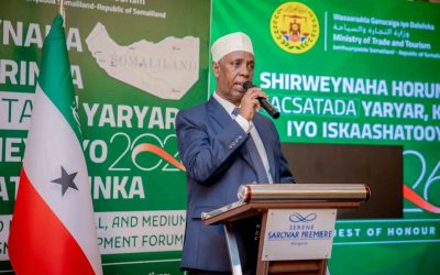 Madaxweyne ku xigeenka Somaliland oo ka qayb galay