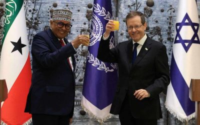 Somaliland seeks political leverage through Gaza troop offer
